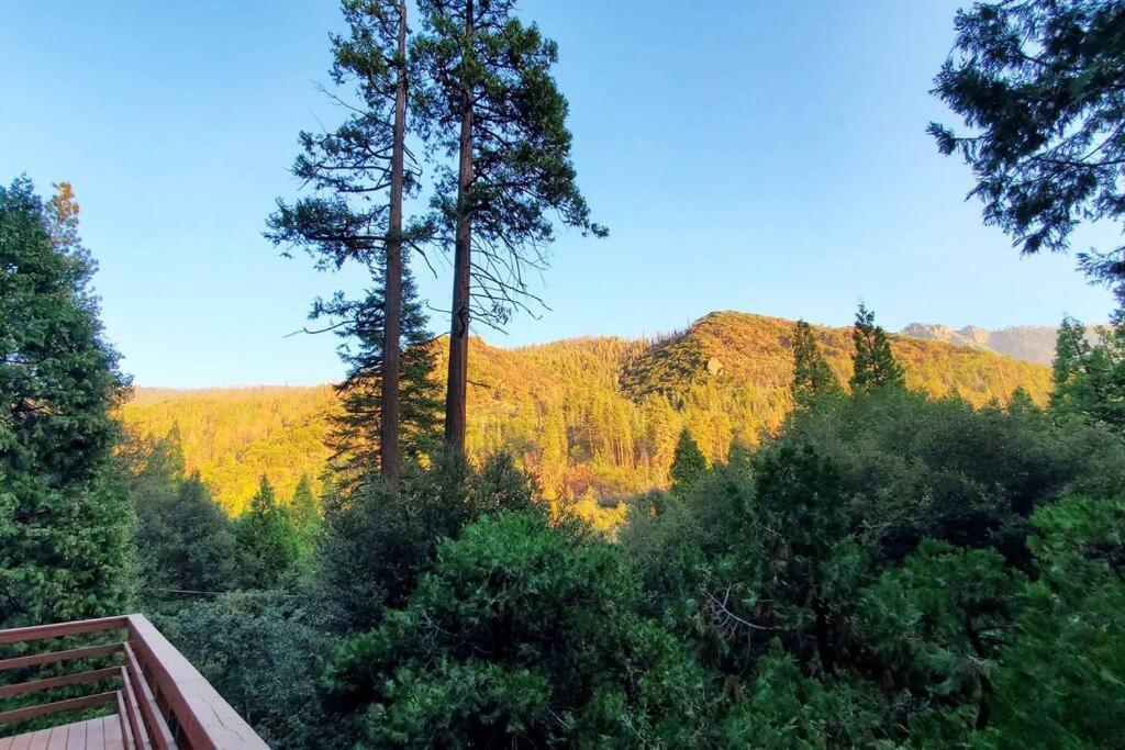 Redwood Retreat, Mountains, Adventure And Nature Ponderosa Esterno foto