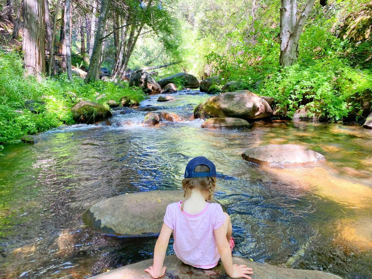 Redwood Retreat, Mountains, Adventure And Nature Ponderosa Esterno foto
