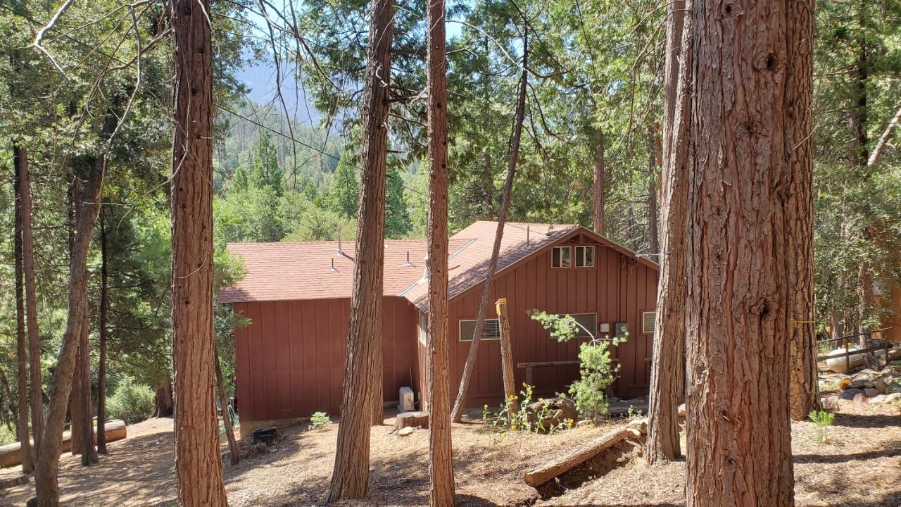 Redwood Retreat, Mountains, Adventure And Nature Ponderosa Esterno foto
