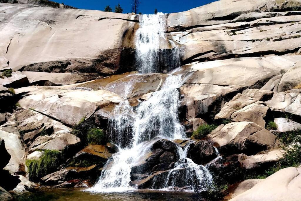 Redwood Retreat, Mountains, Adventure And Nature Ponderosa Esterno foto