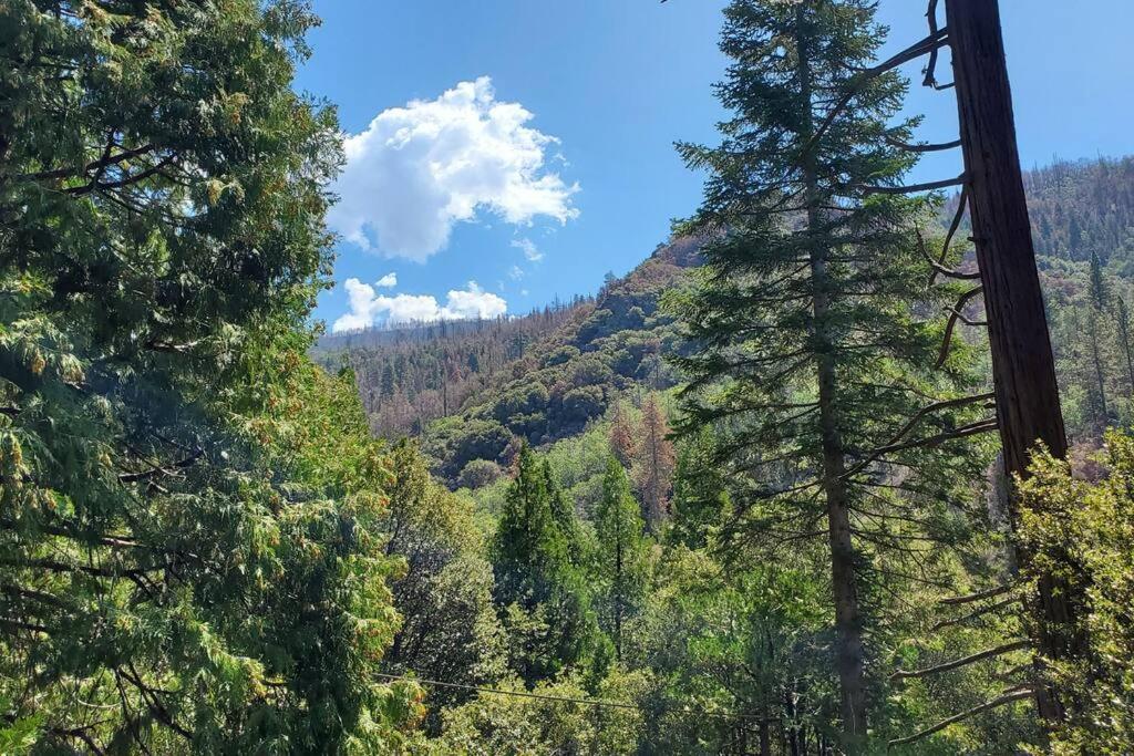 Redwood Retreat, Mountains, Adventure And Nature Ponderosa Esterno foto