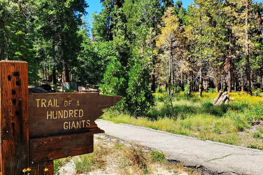 Redwood Retreat, Mountains, Adventure And Nature Ponderosa Esterno foto