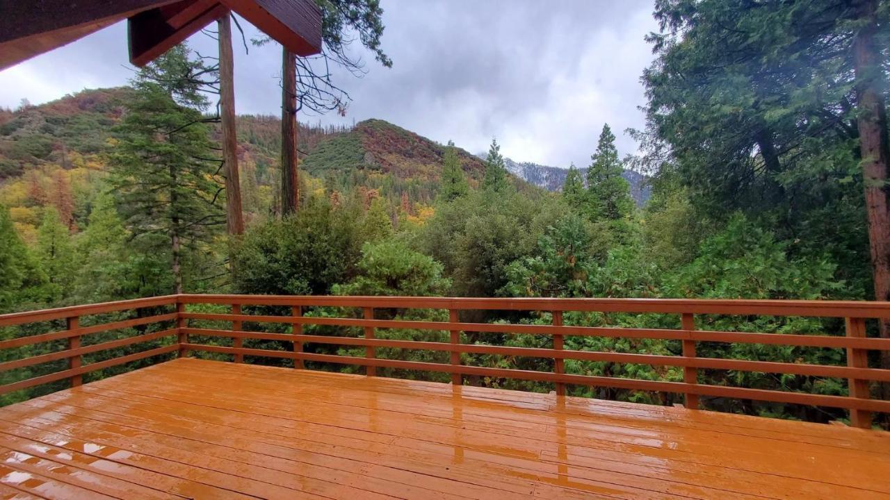 Redwood Retreat, Mountains, Adventure And Nature Ponderosa Esterno foto