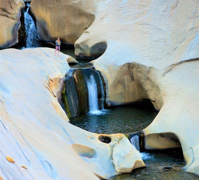 Redwood Retreat, Mountains, Adventure And Nature Ponderosa Esterno foto