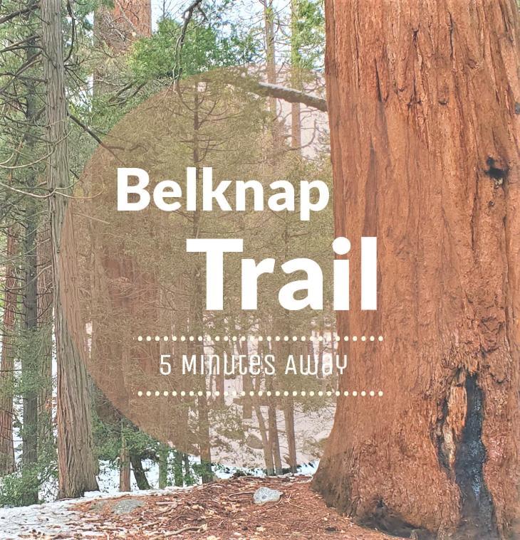 Redwood Retreat, Mountains, Adventure And Nature Ponderosa Esterno foto
